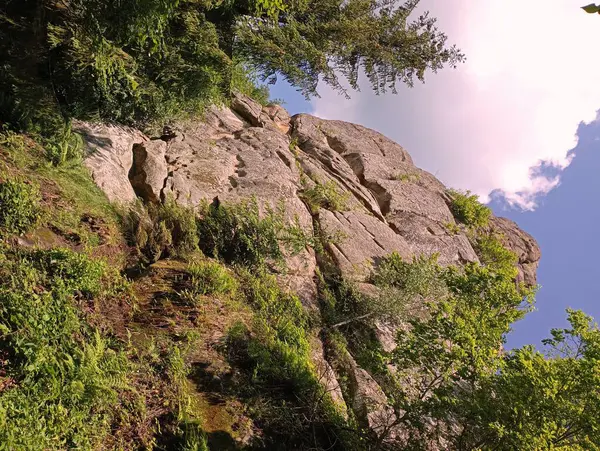 Pionowy Kamienny Klif Widok Dołu Skałę — Zdjęcie stockowe