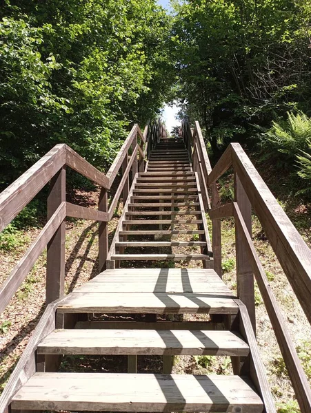 Escaleras Madera Para Subir Montaña Escaleras Madera Alto Las Montañas —  Fotos de Stock