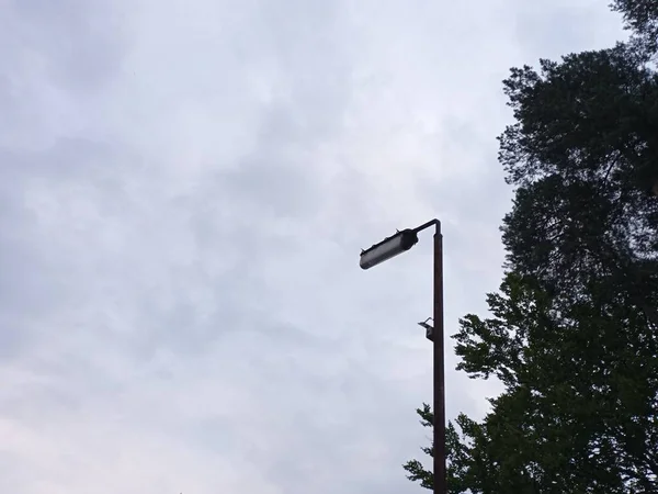 ランプポスト 空と贈り物の背景に街の照明 — ストック写真