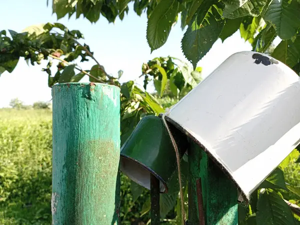 Две Ржавые Металлические Зеленые Чашки Висящие Старом Деревянном Заборе — стоковое фото