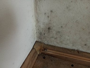 Odanın küflü köşesi. Odanın beyaz duvarlarının küf temizlenmesi ve kalite onarımına ihtiyacı var..