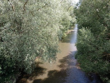 Temiz şeffaf suyu olan düz bir nehir. Su kaynakları ve içme suyu. Nehir ağaçların arasından akar..