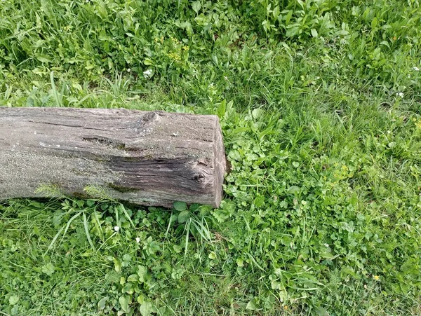 緑の草の上に古いオークのトランク 草の上の木製のログ — ストック写真