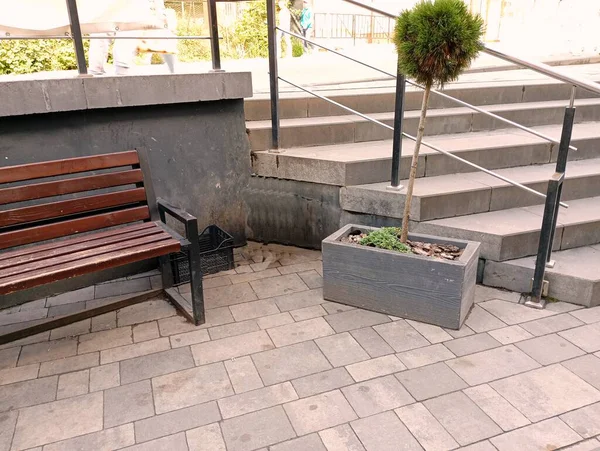 Bench Stairs Relaxation Next Flower Bed Decorative Tree City Its — Stock Photo, Image