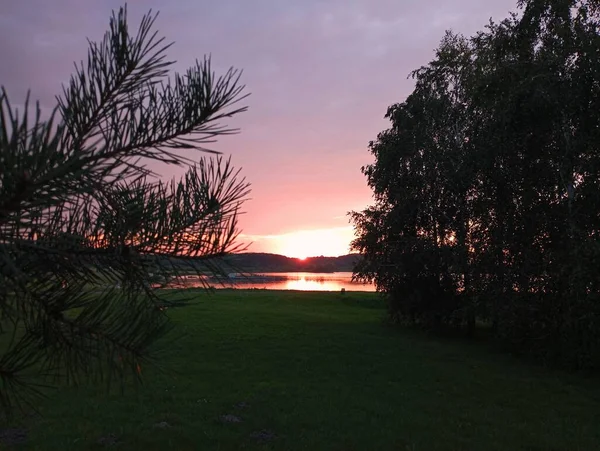 Sonnenuntergang Über Dem See Vordergrund Eine Kiefer Und Dazwischen Ein — Stockfoto