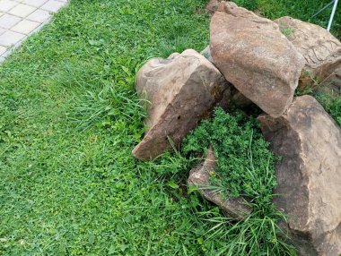 Büyük bir taş yığını, kaldırım taşının yanındaki yeşil çimenlikte büyük bir dağ oluşturur..