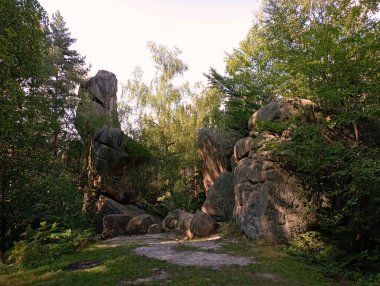 Karpatya ormanında inanılmaz güzel kayalar. Eski kayalar eski bir ormanla çevrilidir..