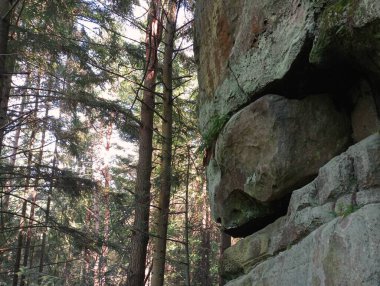 Ormandaki düz kaya. Rocky cliff. Büyük taşlar doğal oluşumlardır..