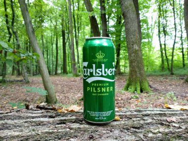 Kornalovichi köyü, Sambir bölgesi, Lviv bölgesi, Ukrayna - 14 Eylül 2023: Ormanda bir kutu Carlsberg birası. Arka planda bir meşe ormanı var..