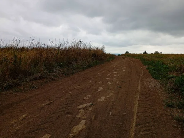 A field road covered with a layer of gunpowder goes up between the fields. On the road you can see the footprints of people who passed along it. A deserted country road stretches upwards.