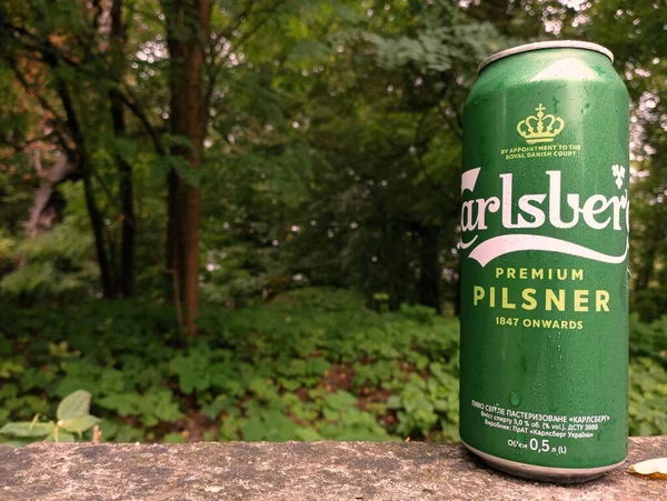 Kornalovichi köyü, Sambir bölgesi, Lviv bölgesi, Ukrayna - 14 Eylül 2023: Orman arka planında bir kutu Carlsberg birası.