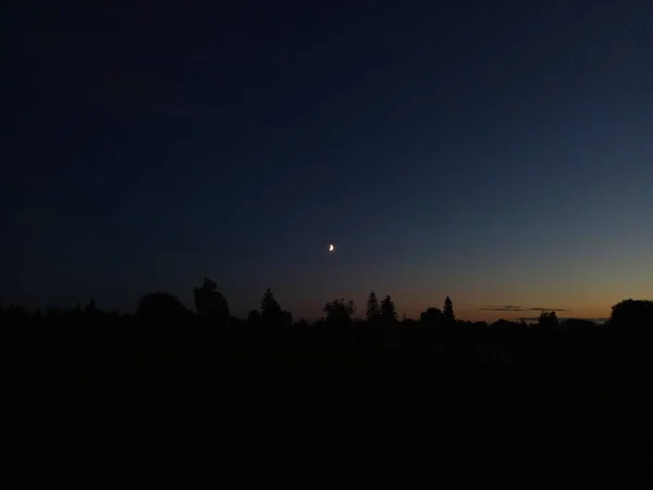 Buenas Tardes Luna Brilla Brillantemente Cielo Tranquilo Paisaje Nocturno Sobre —  Fotos de Stock