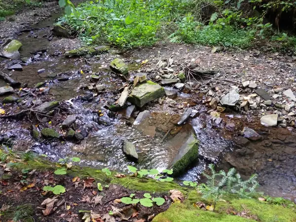 Small Rapid River Makes Its Way Stones Mountainous Area Mountain — Stock Photo, Image