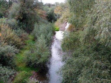 Nehrin yukarıdan çekilmiş fotoğrafı. Dar bir nehir, her iki tarafında söğütler olan bir kanal boyunca akar..