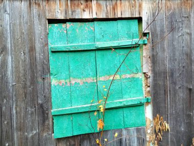 Yıkılmış ahşap bir evin eski eğri bir penceresi yeşil ahşap panjurlarla kaplıdır..