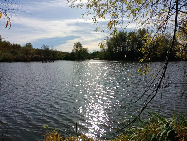 A willow tree grows on the shore of a small lake, the branch of which is in the foreground. The landscape opens onto a pond with clean, transparent water with small waves. A calm body of water.