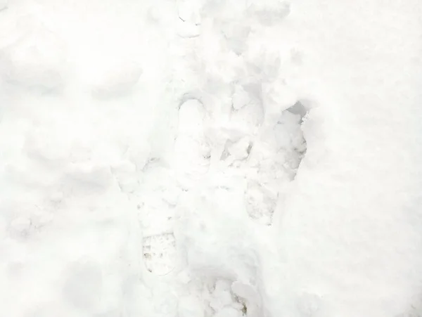 Footprints on the snow. Footprints on snow-white cold snow. Winter backgrounds and textures.