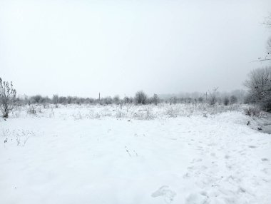 Karlı bir çalı manzarası. Kar yığınları arasında bir sürü ağaç ve çalı var. Kış arkaplan ve dokuları.