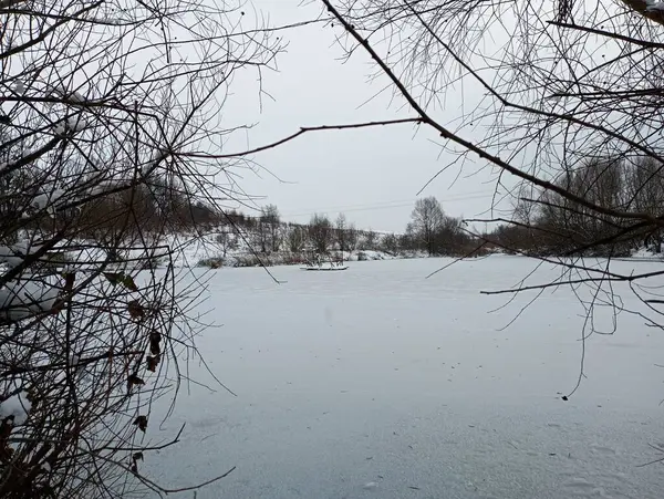 Winter landscape of a frozen lake. A beautiful reservoir with frozen water and trees on the shore. Bare branches of bushes are in the foreground.