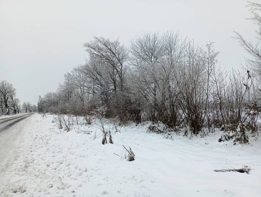 Kışın yol kenarında ağaçlar ve çalılar dikiyorlar. Durmuş şehirler arası yol kardan temizlenmemiş, buzla kaplı..