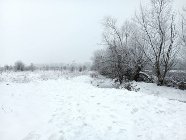 Karla kaplı bir tarlada ağaçlar ve çalılar. Kışın el değmemiş toprakların güzel manzarası. Kış ve soğuk hava teması.
