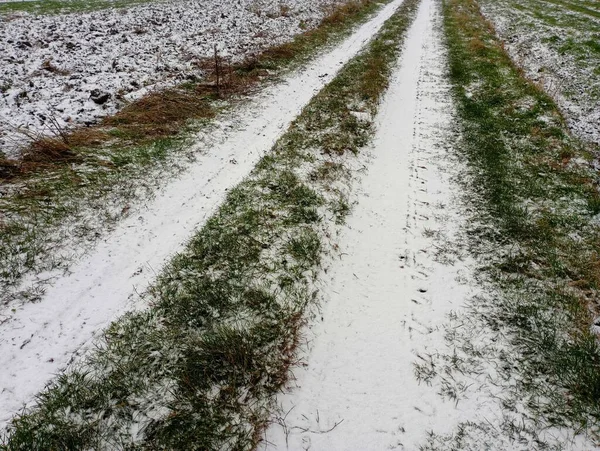 A snowy field road. Two car tracks stretch along the fields.