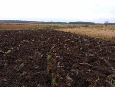 Plowed land in the field for the winter. Topics of agriculture and land preparation for winter. A beautiful landscape of a field on the horizon of which a forest is visible