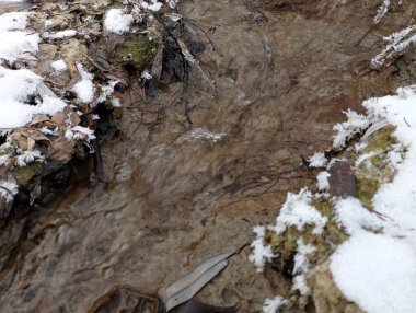 Küçük bir derenin dibi ve hızlı bir akıntı. Derenin kıyısında ince bir soğuk kar tabakası uzanıyor..
