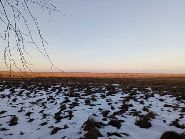 Sonbaharda kuru otlarla dolu sonsuz tarlalardan oluşan güzel bir manzara. Ön planda bir huş dalı var..