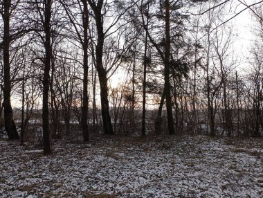 Sihirli, güzel bir ormanda kışın gün batımı. Kış ormanlarının güzel arkaplan ve dokuları.