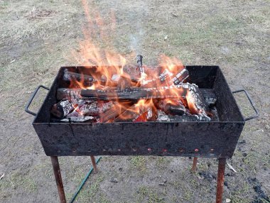 Eğlence sırasında doğada et pişirmek için metal brazier 'da hafif bir ateş. Kuru odun yakmaktan yüksek ateş.
