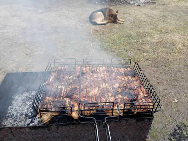 Chicken is being prepared on a metal grill in a special barbecue grid, and in the background a dog is lying on the grass waiting for the food to be cooked.