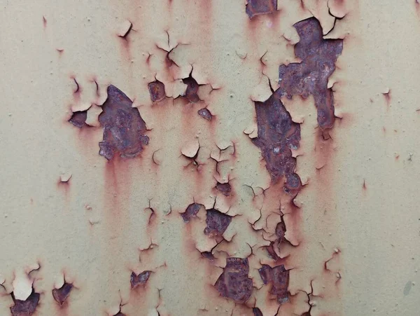 Red spots on old white paint on rusty metal. Traces of antiquity on metal. The old paint has peeled off and peeled off on the old rusty coating.
