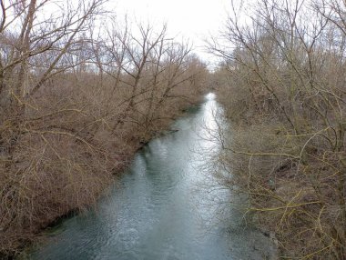 Söğüt ağaçlarının olduğu düz bir nehir. Uzun ağaçlar suyun yüzeyinden yükselir. Yükseklerden baharda güzel bir nehrin manzarası.