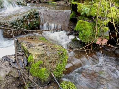A small waterfall with stones and a fast current. The water quickly descends, bypassing stone rapids overgrown with green moss. A beautiful small cascading waterfall. clipart