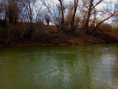 Temiz, temiz suyu olan güzel bir nehir ve kıyılarında söğüt ve çalıların yetiştiği sakin bir akıntı. İlkbaharda nehirde bahar manzarası.