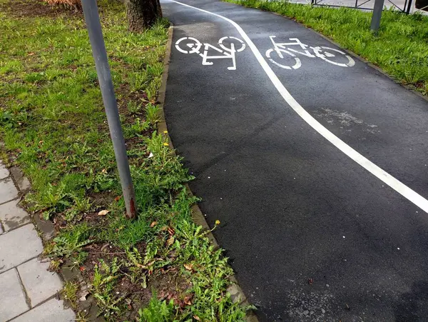 A two-lane bicycle path in the park with small turns and two white bicycles painted on the asphalt, which means cycling. Infrastructure in the city for the movement of cyclists and ecological transport.