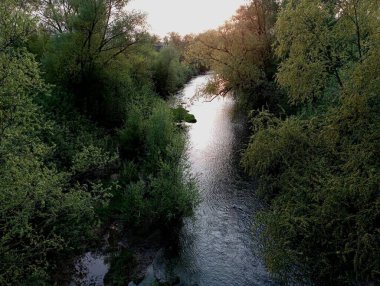 Yukarıdan nehri görebilirsin. Nehir yemyeşil, sık çalılar ve ağaçlar arasında akar. Nehirde temiz şeffaf su.