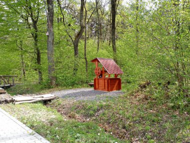 Ormanda suyla ahşap güzel bir kuyu. Parke yolunun yanında verniklenmiş ahşap bir kuyu olan güzel bir park..