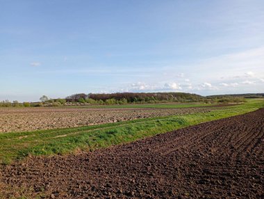 Ufukta bir orman olan güzel bir arazi. Farklı tarım tesisleri için bölünmüş alanlar.