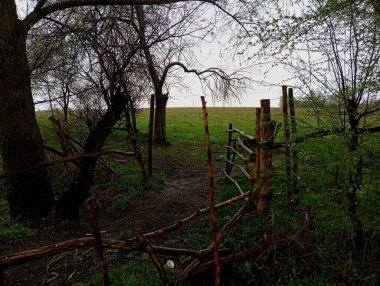 Çiftlik hayvanları için kuru dallardan çayırlara kadar döşenmiş. Eski ağaç dallarından yapılmış bir çit. Baharda çimenlik yeşil çimlerle.