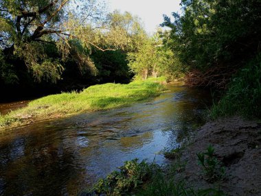 Ortasında yeşil çimenler olan küçük sığ bir nehir. Nehir üzerinde ağaçlar ve çalılarla kaplanmış güzel bir manzara..