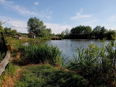 Rahatlamak için bir çardağı olan kıyıdaki göletin güzel bir manzarası. Genç sazlıklar göletin sularında büyürler. Rezervuarın güzel manzarası.
