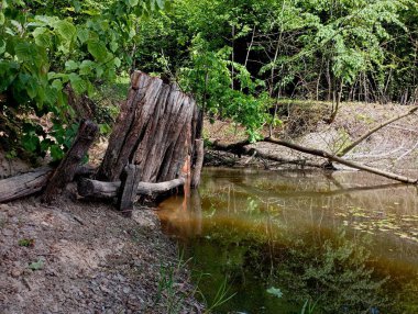 Gölün kıyısındaki eski ahşap bir duvar toprak kaymalarını önlemek için. Ormandaki gölette eski bir baraj..