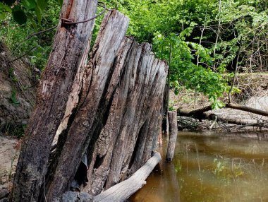 Gölün kıyısındaki toprak kaymalarını önlemek için özel bir çit su kenarında kıyıya çakılmış eski meşe kütüklerinden yapılmıştır..