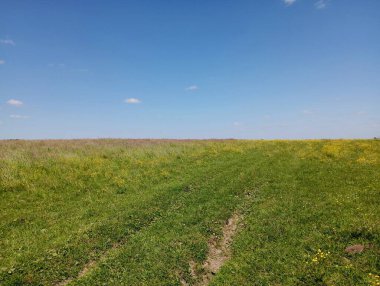 Ufkun ötesine uzanan toprak arazi yolu yazın çimenli bir açıklığın içinden geçiyor. Çimen tarlası ve açık mavi gökyüzü olan güzel bir manzara. Ufkun ötesine giden bir yol var..