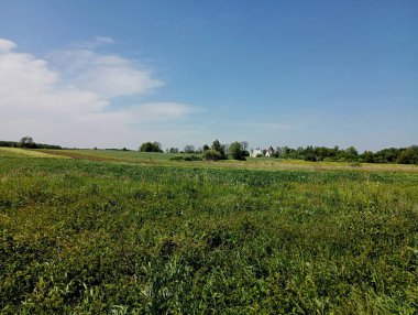 Yazın güzel bir tarla manzarası ufukta güzel bir köy kilisesi görülebilir açık mavi gökyüzünün altında, beyaz bulutlarla kaplanmış..