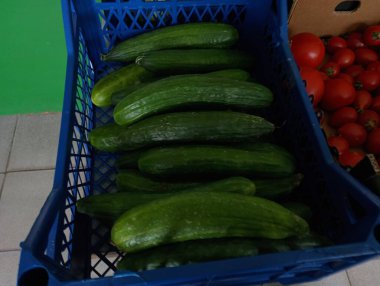 Yeşil salatalıklar mavi plastik bir kutuda kırmızı domateslerin yanında satılıktır. Taze sebze ticareti..