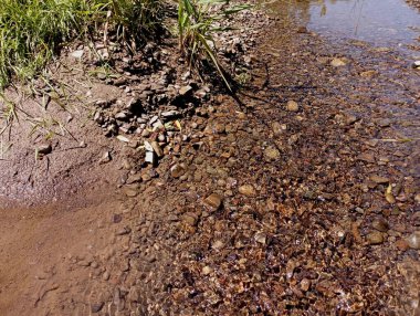 Küçük taşların dibi ve hızlı akıntı ve berrak su ile nehirde sığ su. Doğal altyapılar ve dokular..