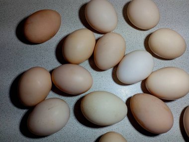 Ev yapımı tavuk yumurtaları masanın gri yüzeyine yerleştirilir. Ev yemeği ve kümes hayvanlarının konusu. Taze, sağlıklı, ev yapımı, çevre dostu yumurtalar..